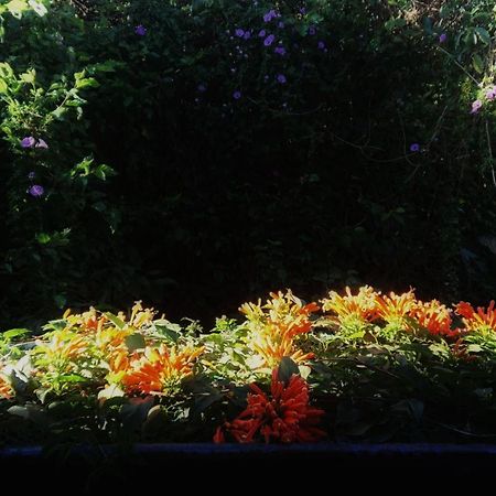 Dalat Inn Homestay Eksteriør bilde