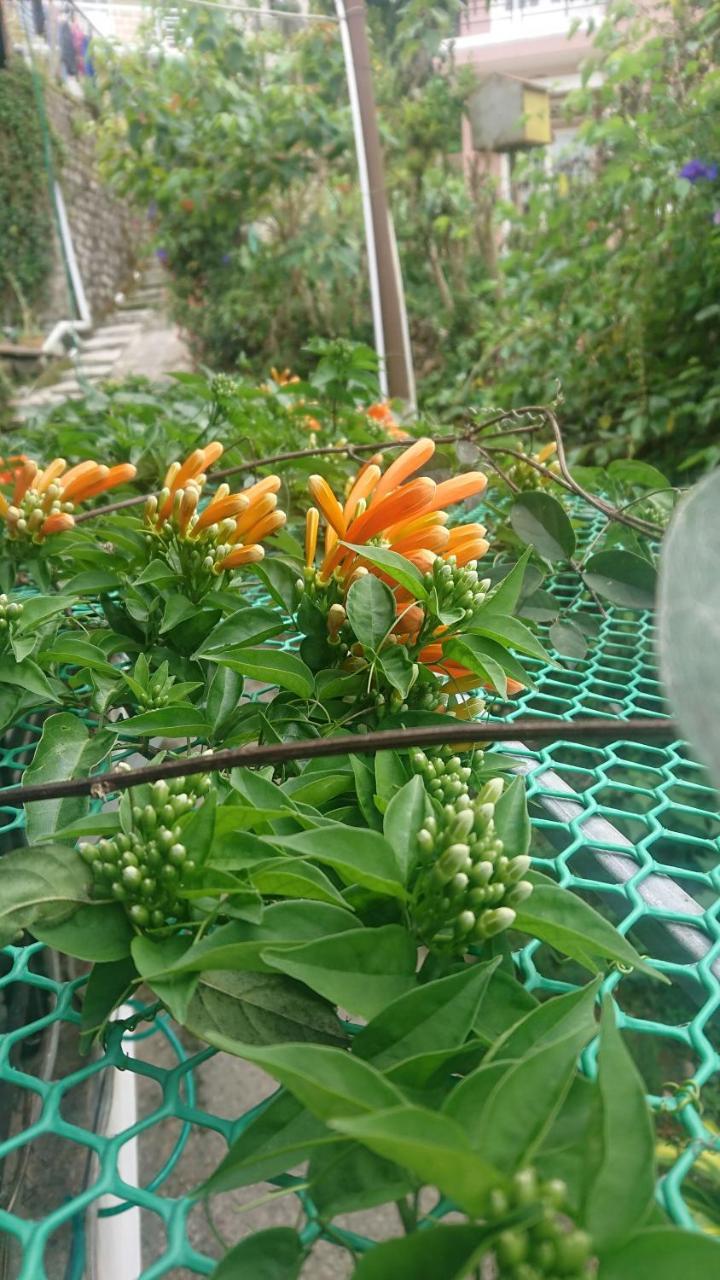 Dalat Inn Homestay Eksteriør bilde