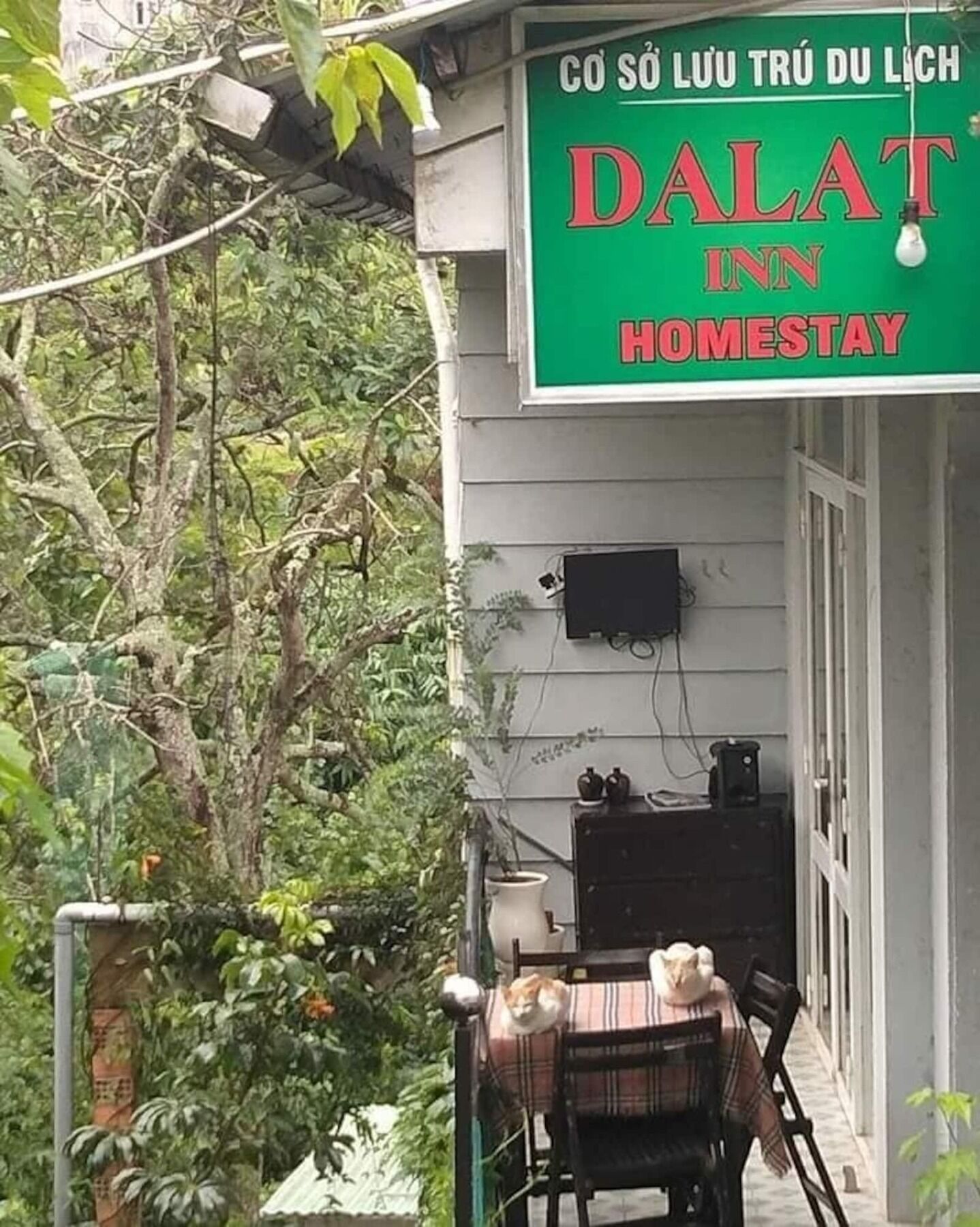 Dalat Inn Homestay Eksteriør bilde